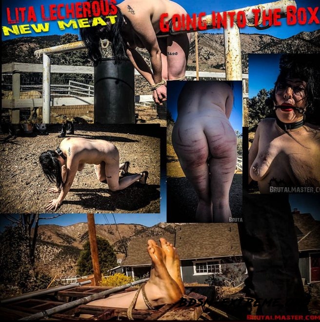 New Meat – Going Into The Box (2019/FullHD) [Brutal Master LIta Lecherous]